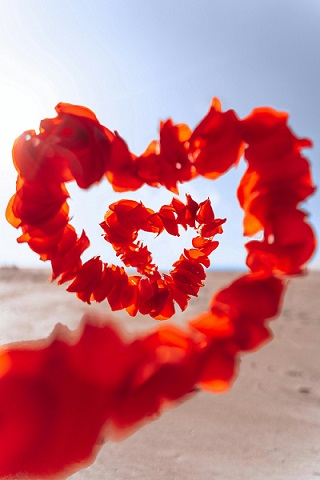 blog